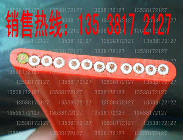 电镀自动线天车专用排线/天车排线/天车扁型软电缆
