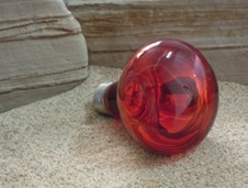 红外线灯infrared lamp