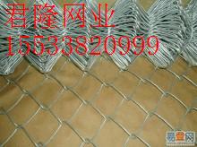 勾花网/勾花网护栏网/镀锌勾花网/包塑勾花网
