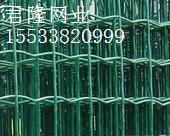 波浪型护栏网/荷兰网/简易围网/草原护栏网