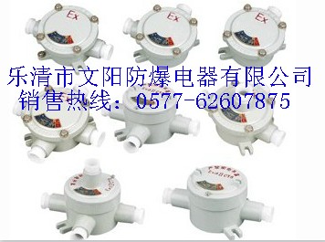 AH系列防爆接线盒（IIC)、IIC级防爆接线盒价格
