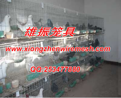 重庆鸽子笼 重庆笼子 重庆养殖笼子