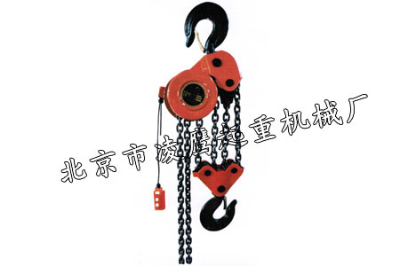 DHP型系列电动葫芦质量好20吨产品